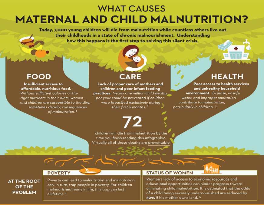 Child Malnutrition Tree Infographic1 ALDEA